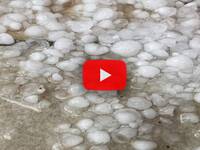 Meteo: Puglia, intensa Grandinata imbianca Salice Salentino (LE), il Video